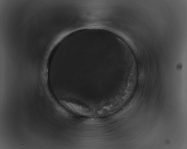 X0000102811414200809081058