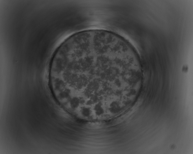 X0000102811415200809081058