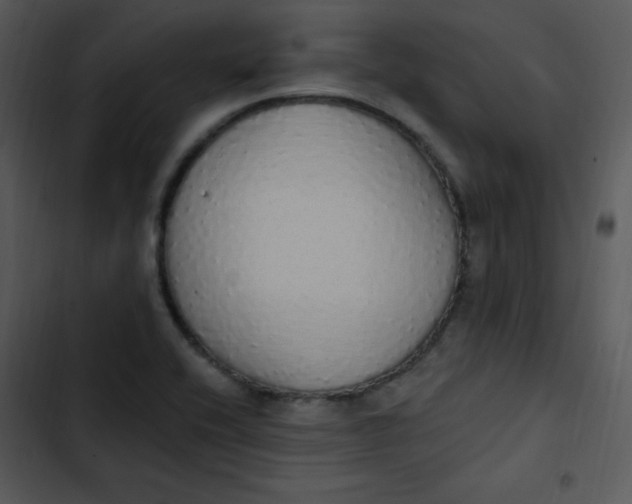 X0000102811416200809081058