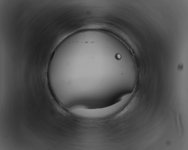 X0000102811417200809081058