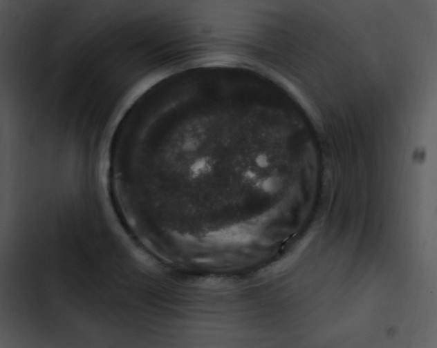 X0000102811418200809081058