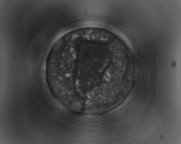 X0000102811419200809081058