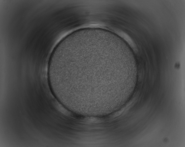 X0000102811420200809081058