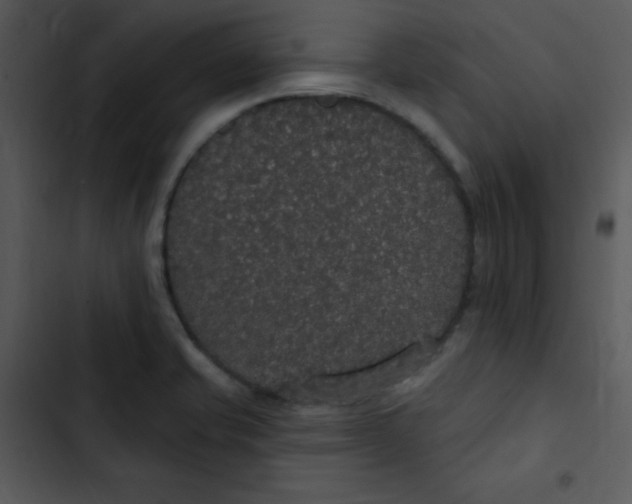 X0000102811421200809081058