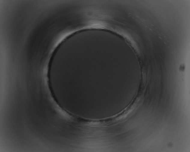 X0000102811422200809081058