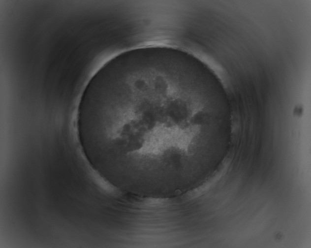 X0000102811423200809081058