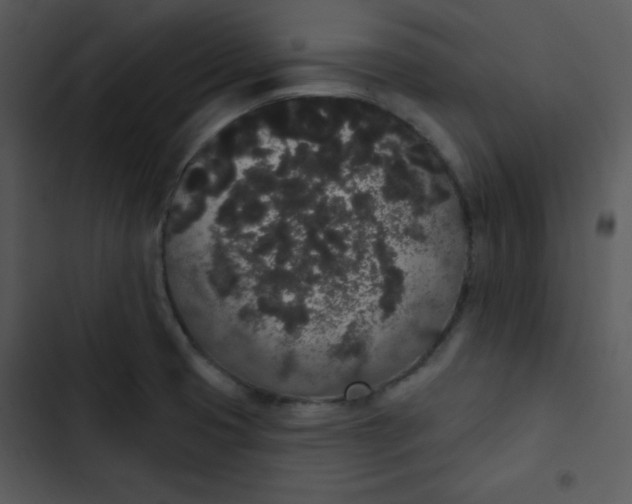 X0000102811425200809081058