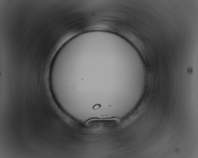 X0000102811426200809081058