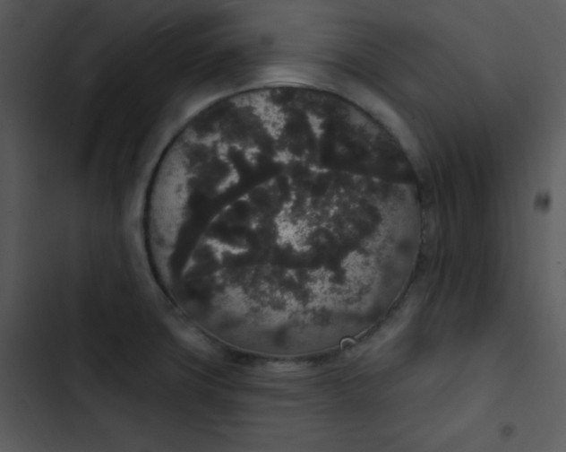 X0000102811427200809081058