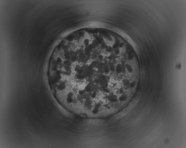 X0000102811429200809081058