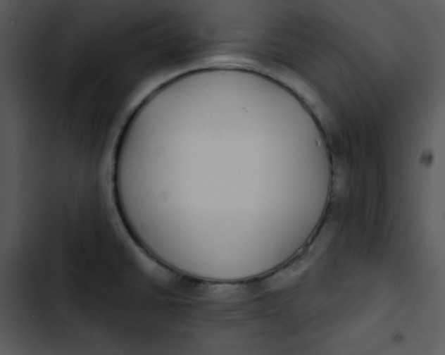 X0000102811430200809081058