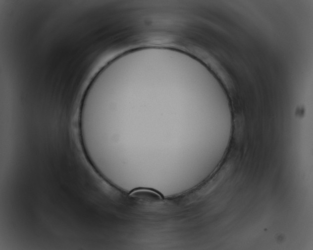 X0000102811432200809081058