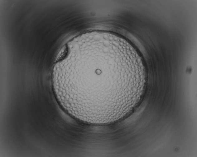 X0000102811433200809081058