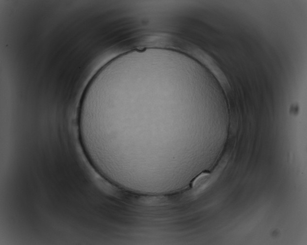 X0000102811434200809081058