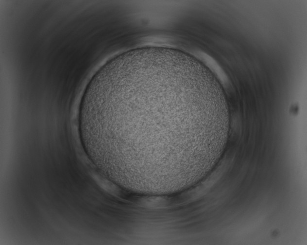 X0000102811435200809081058