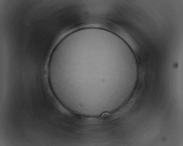 X0000102811436200809081058