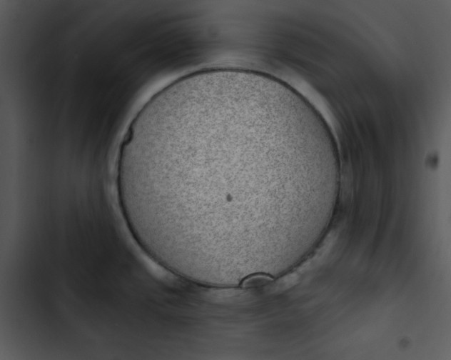 X0000102811437200809081058