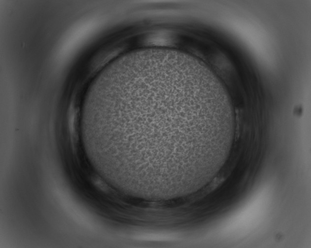 X0000102811438200809081058