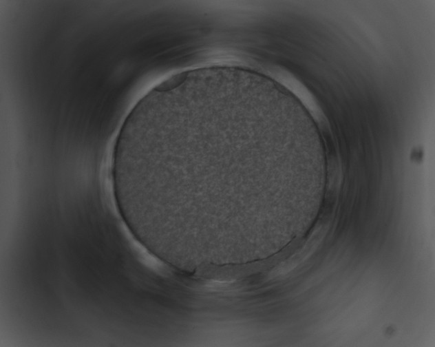 X0000102811439200809081058