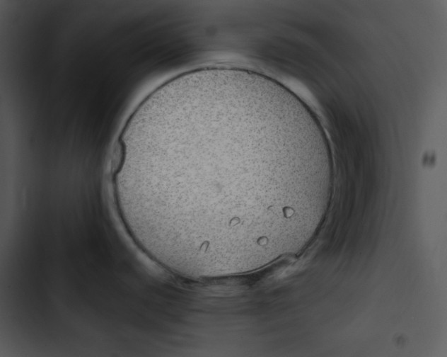 X0000102811440200809081058