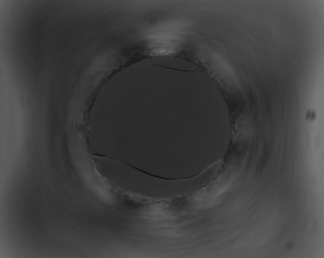 X0000102811441200809081057