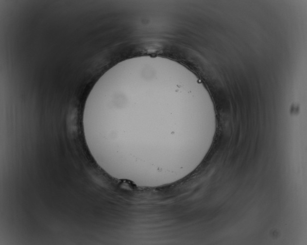 X0000102811442200809081057