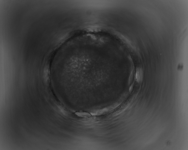 X0000102811444200809081057