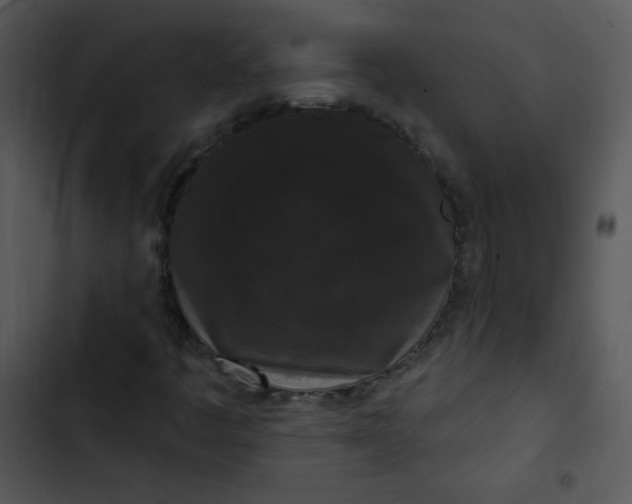 X0000102811445200809081057