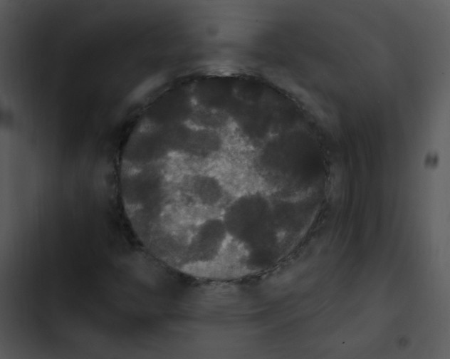 X0000102811446200809081057