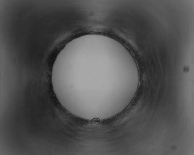 X0000102811447200809081057