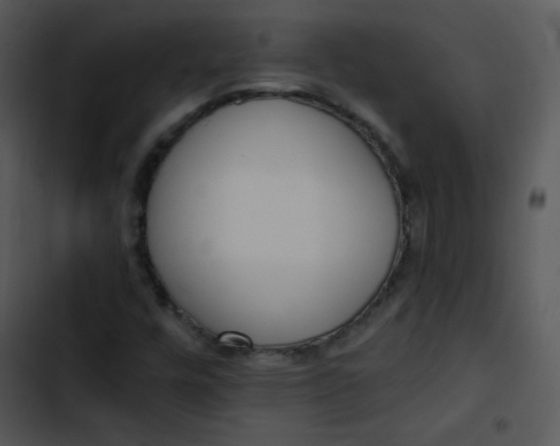 X0000102811448200809081057