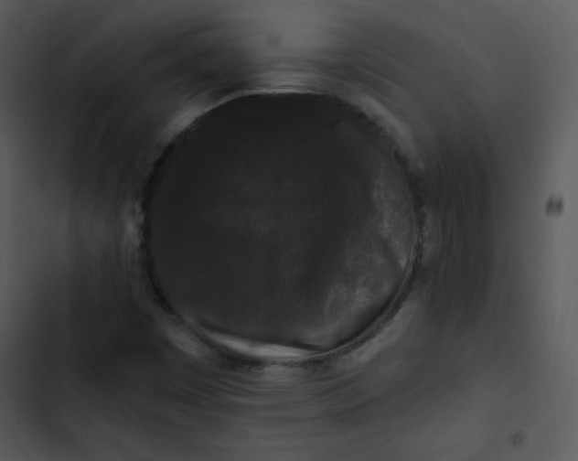 X0000102811449200809081057