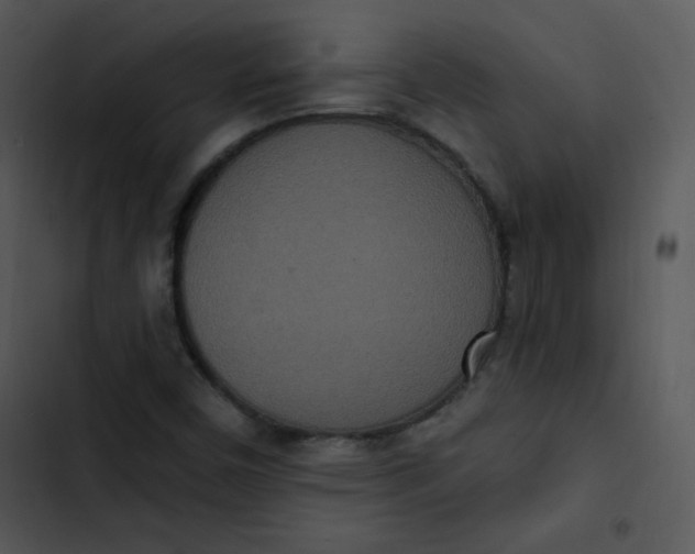 X0000102811450200809081057