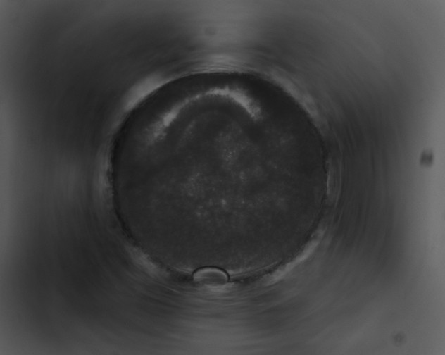 X0000102811453200809081057