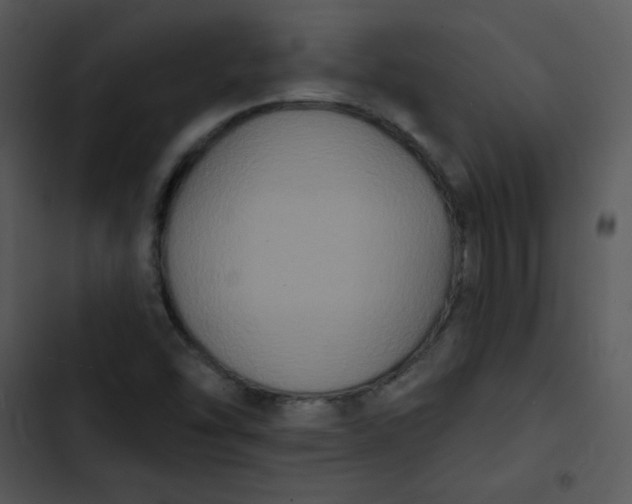 X0000102811454200809081057