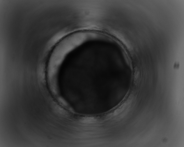 X0000102811455200809081057