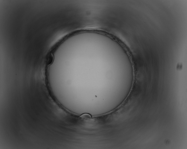 X0000102811456200809081057