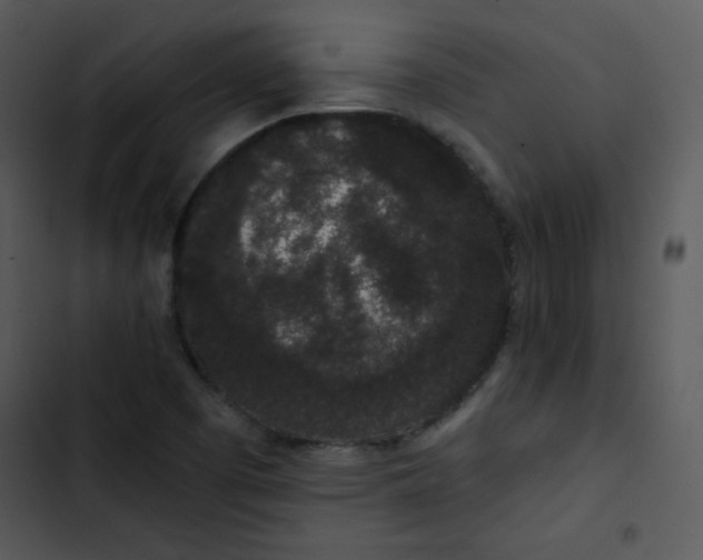 X0000102811457200809081057