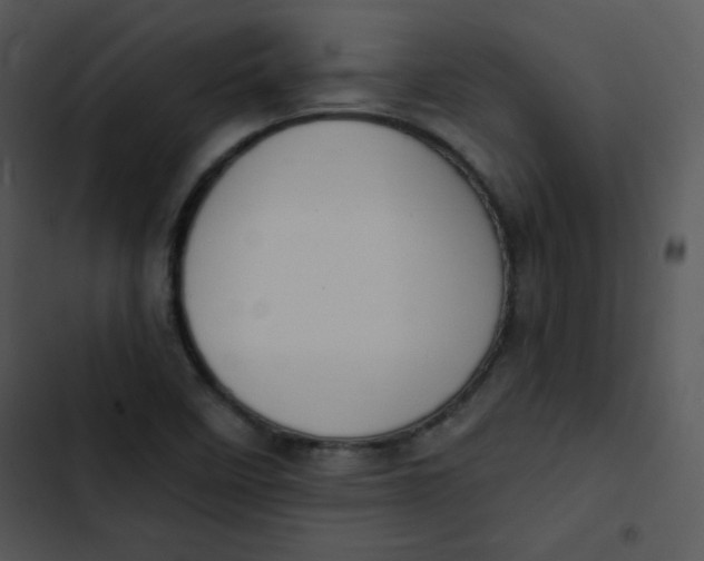 X0000102811458200809081057