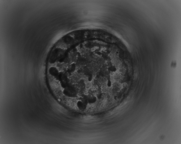 X0000102811459200809081057