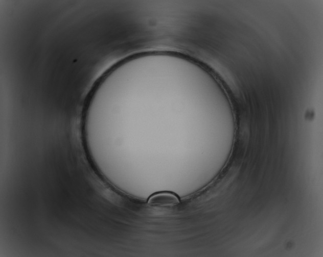 X0000102811460200809081057