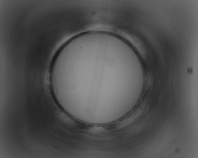 X0000102811462200809081057