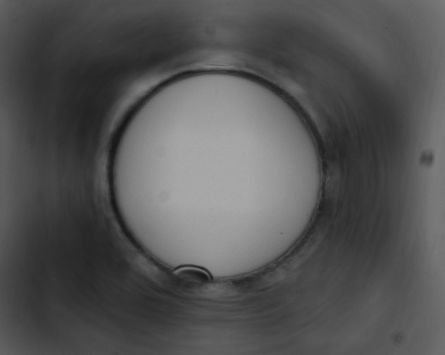 X0000102811464200809081057