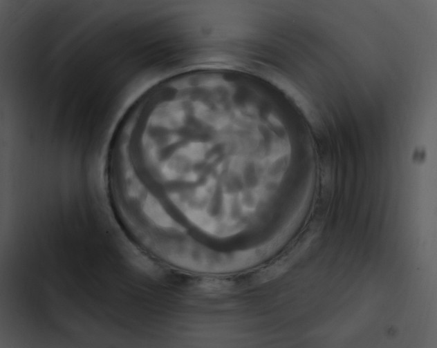 X0000102811466200809081057