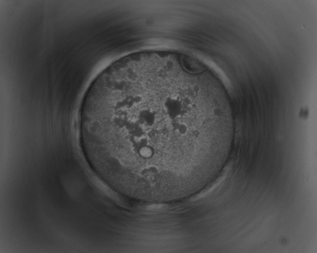 X0000102811467200809081057