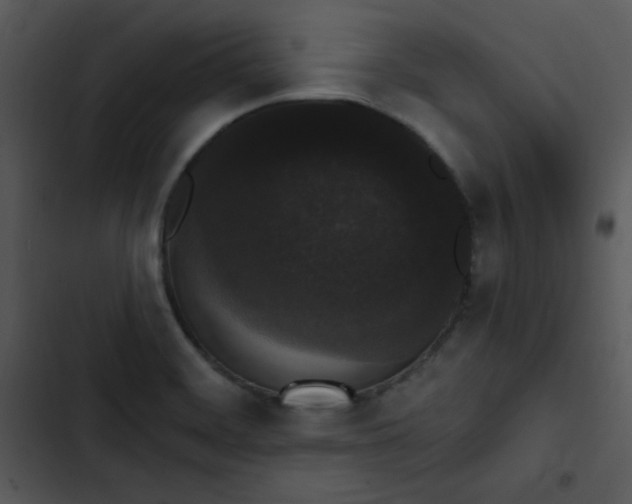 X0000102811468200809081057