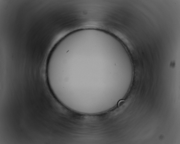 X0000102811469200809081057