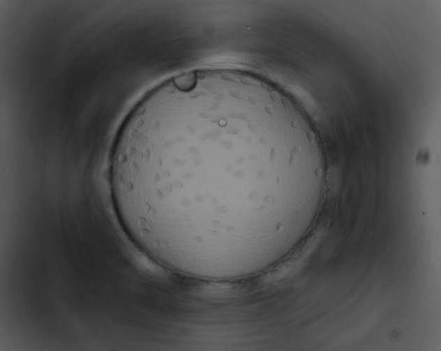 X0000102811470200809081057