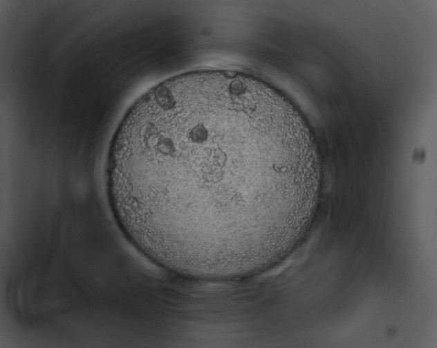 X0000102811471200809081057