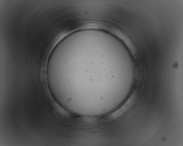 X0000102811473200809081057